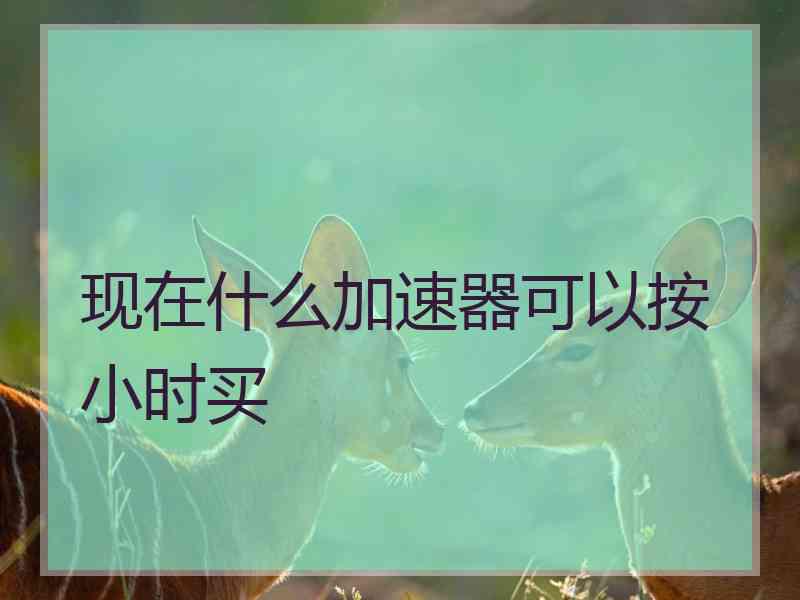 现在什么加速器可以按小时买