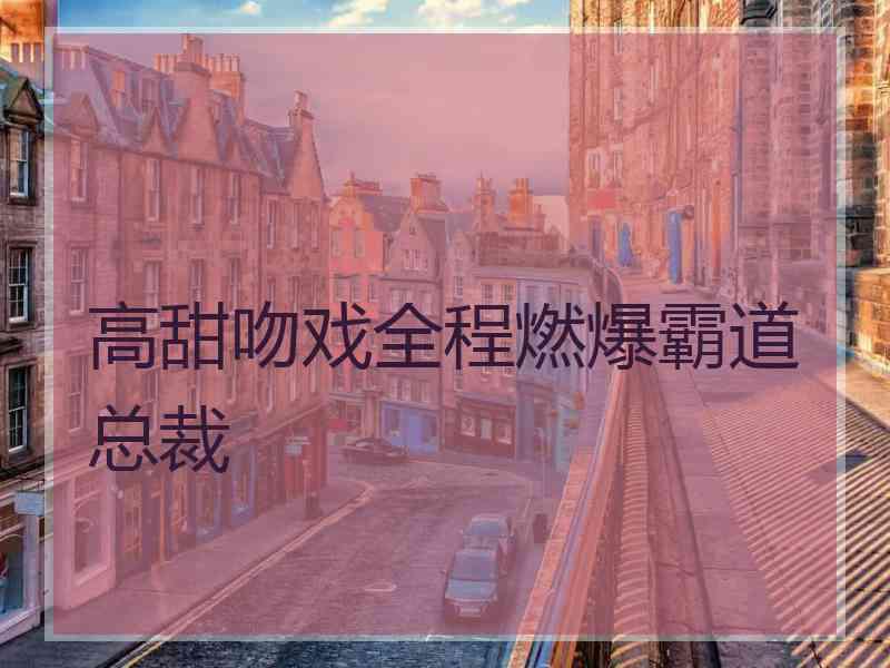 高甜吻戏全程燃爆霸道总裁