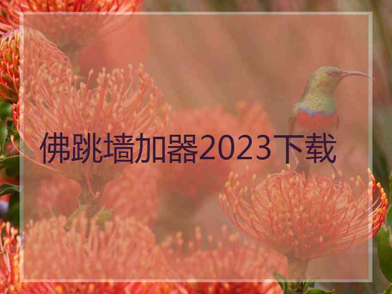 佛跳墙加器2023下载