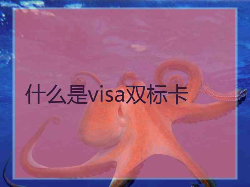 什么是visa双标卡