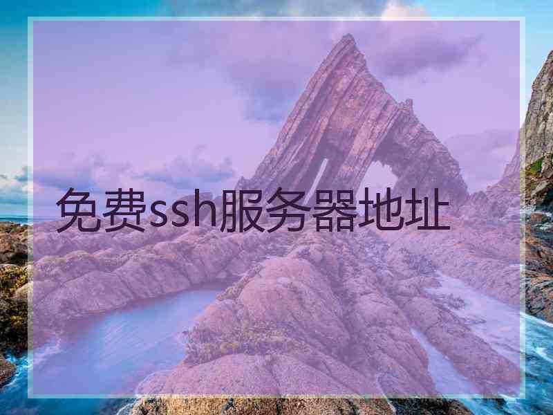 免费ssh服务器地址