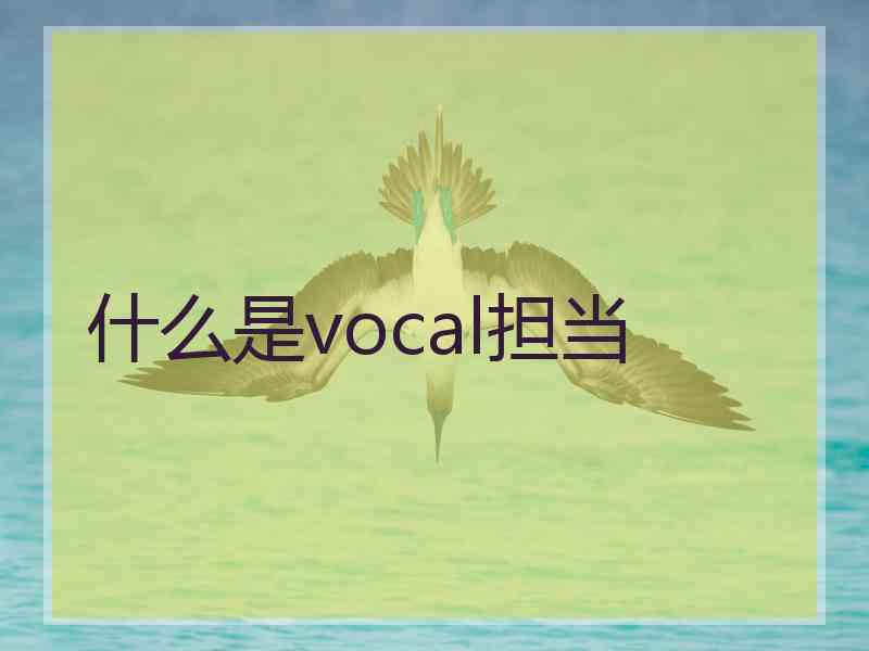 什么是vocal担当