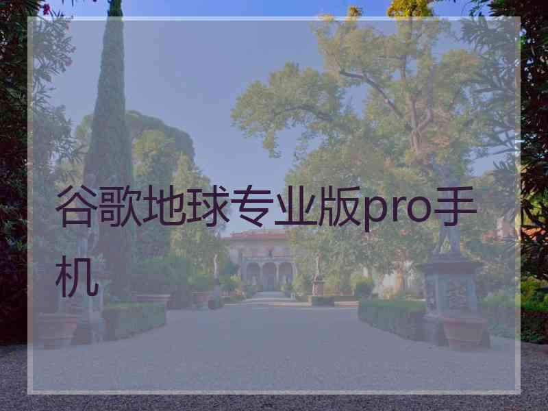 谷歌地球专业版pro手机