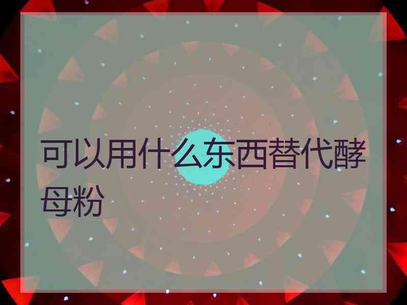 可以用什么东西替代酵母粉