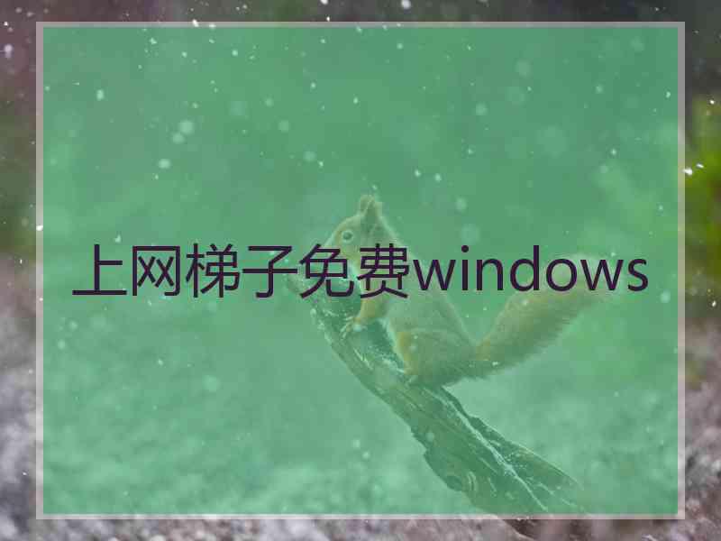 上网梯子免费windows