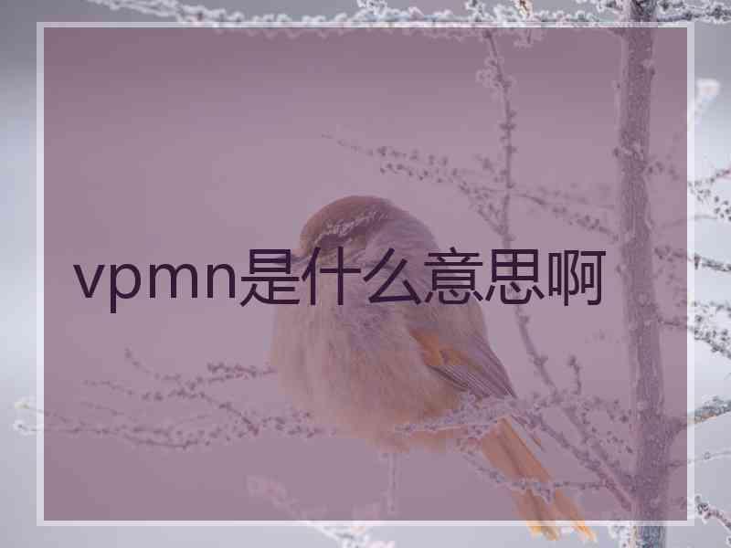 vpmn是什么意思啊