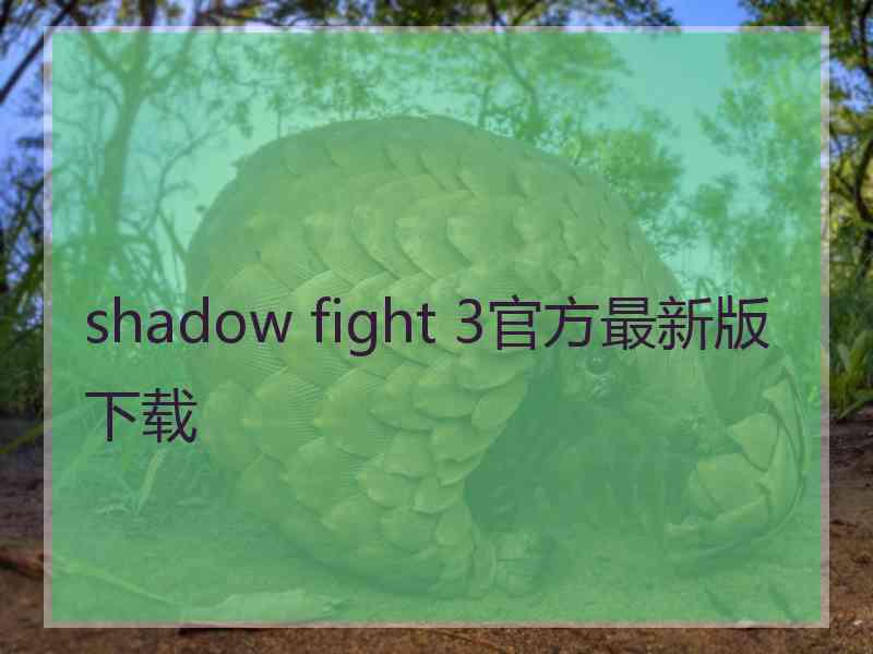 shadow fight 3官方最新版下载