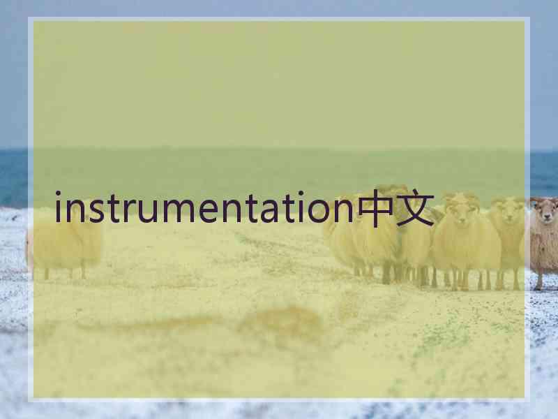 instrumentation中文