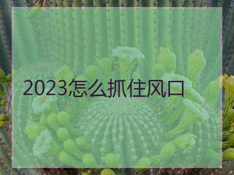 2023怎么抓住风口