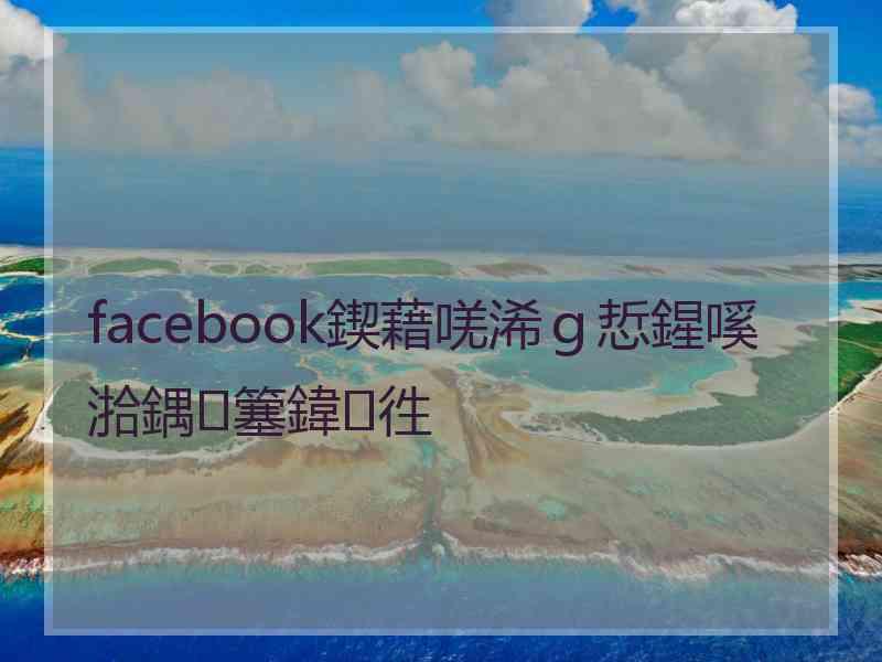 facebook鍥藉唴浠ｇ悊鍟嗘湁鍝簺鍏徃