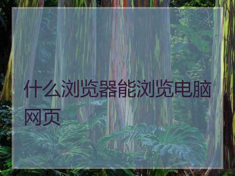 什么浏览器能浏览电脑网页