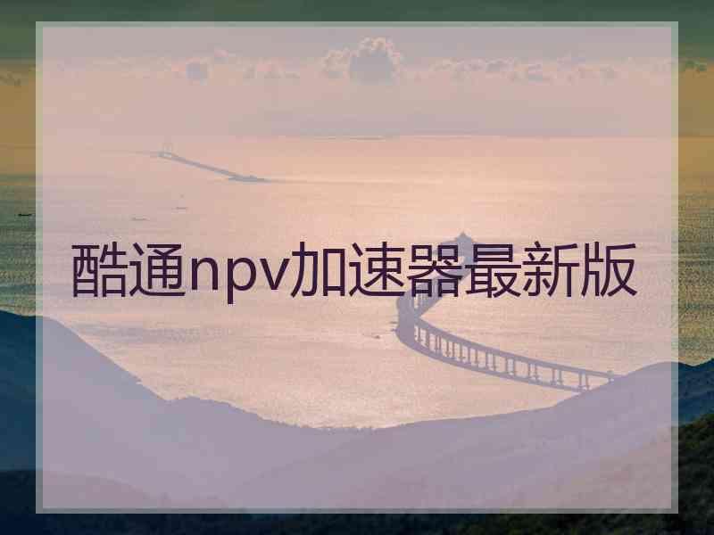 酷通npv加速器最新版