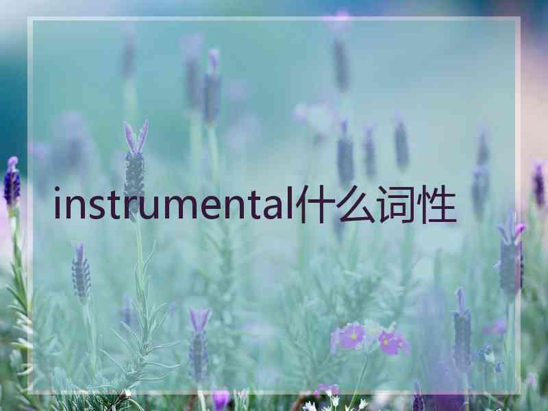 instrumental什么词性