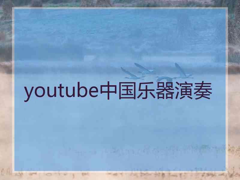 youtube中国乐器演奏