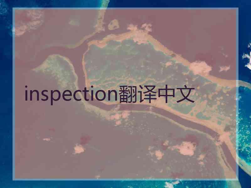 inspection翻译中文