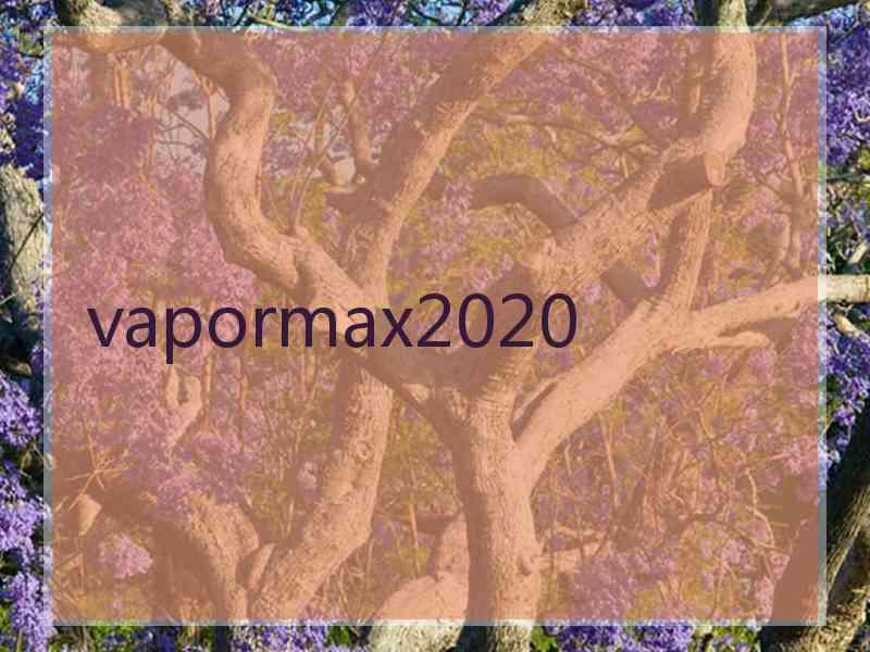 vapormax2020