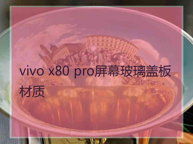 vivo x80 pro屏幕玻璃盖板材质