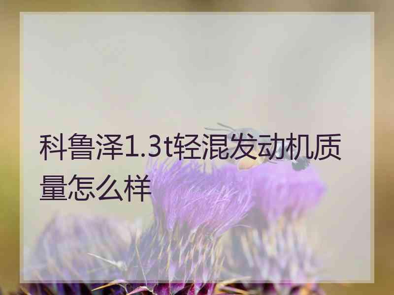 科鲁泽1.3t轻混发动机质量怎么样