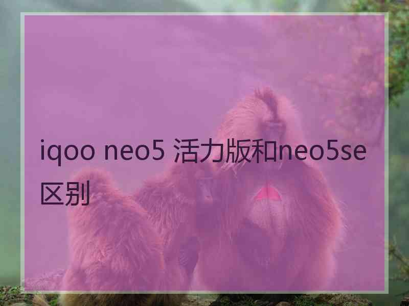 iqoo neo5 活力版和neo5se区别