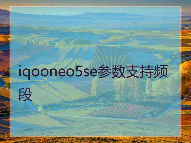 iqooneo5se参数支持频段