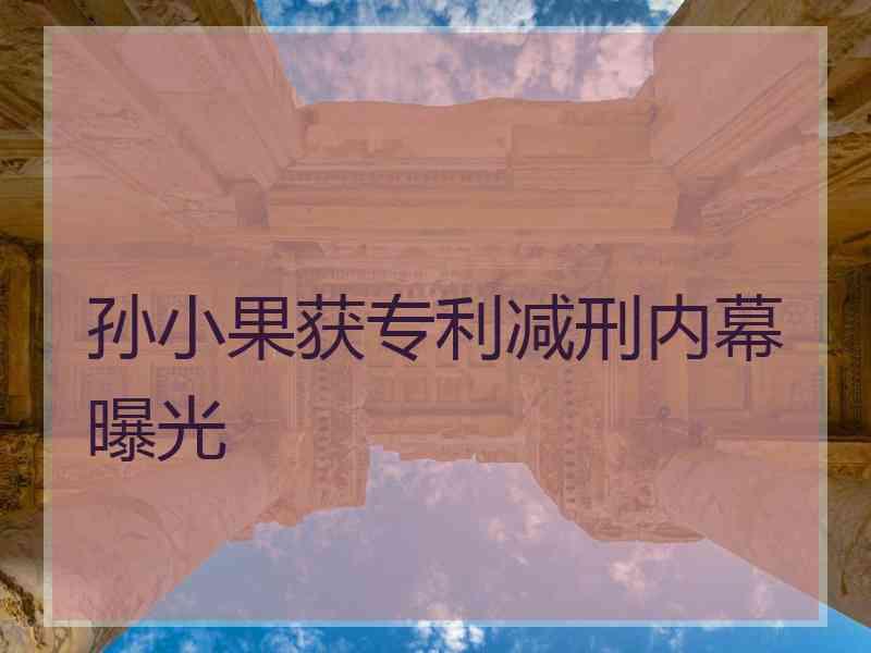 孙小果获专利减刑内幕曝光