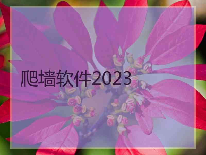 爬墙软件2023