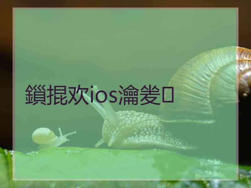 鎻掍欢ios瀹夎