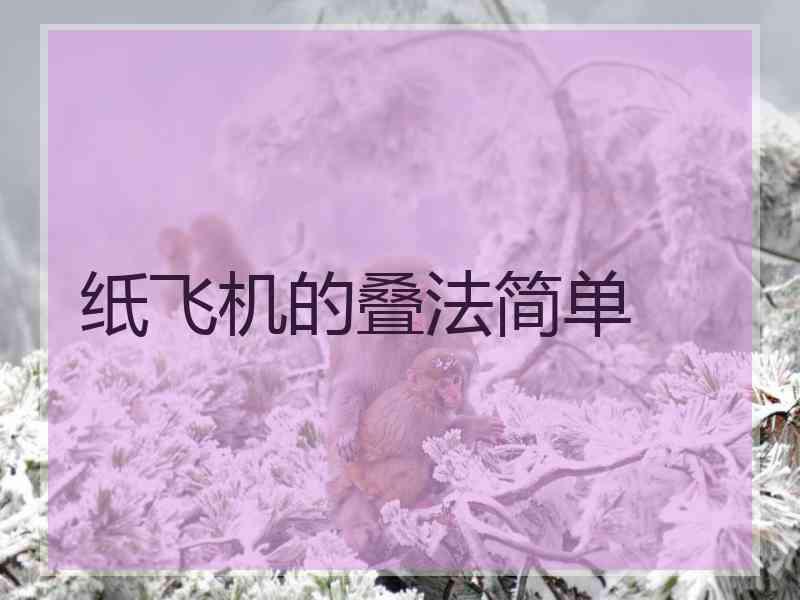 纸飞机的叠法简单