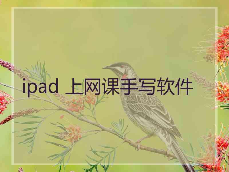 ipad 上网课手写软件