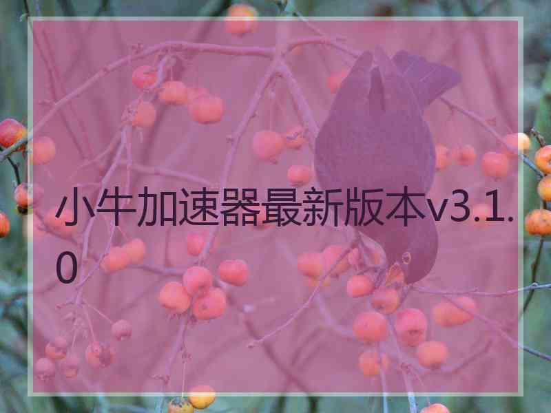 小牛加速器最新版本v3.1.0