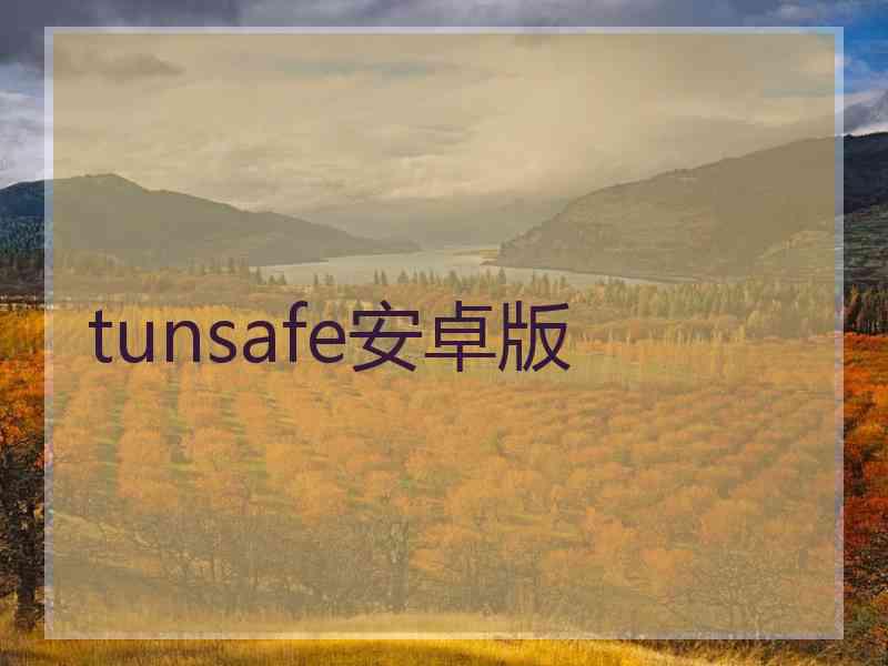 tunsafe安卓版