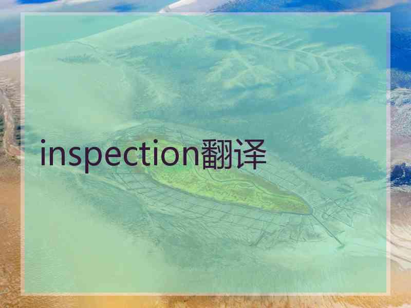 inspection翻译