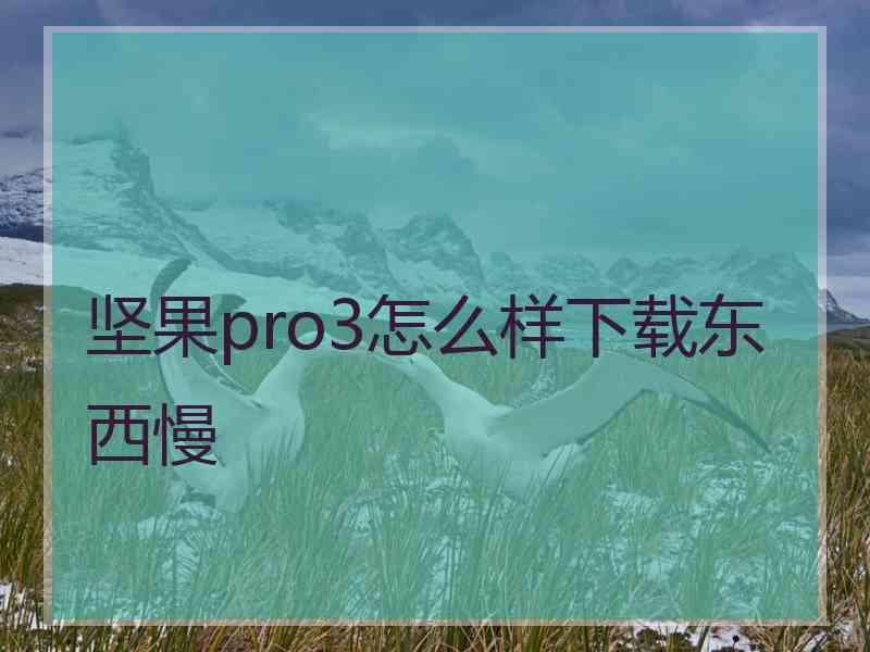 坚果pro3怎么样下载东西慢