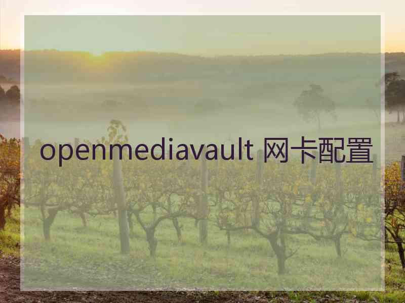 openmediavault 网卡配置