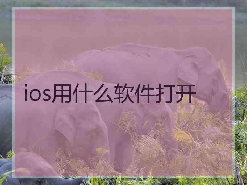 ios用什么软件打开