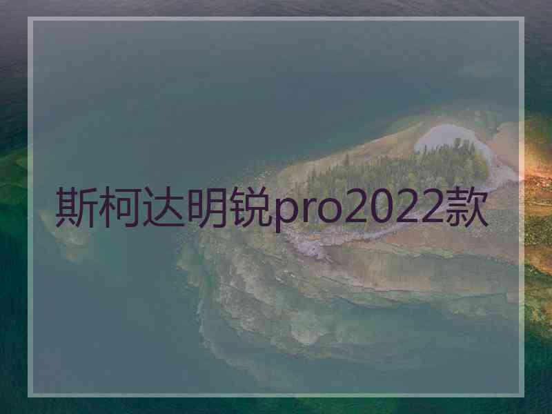 斯柯达明锐pro2022款