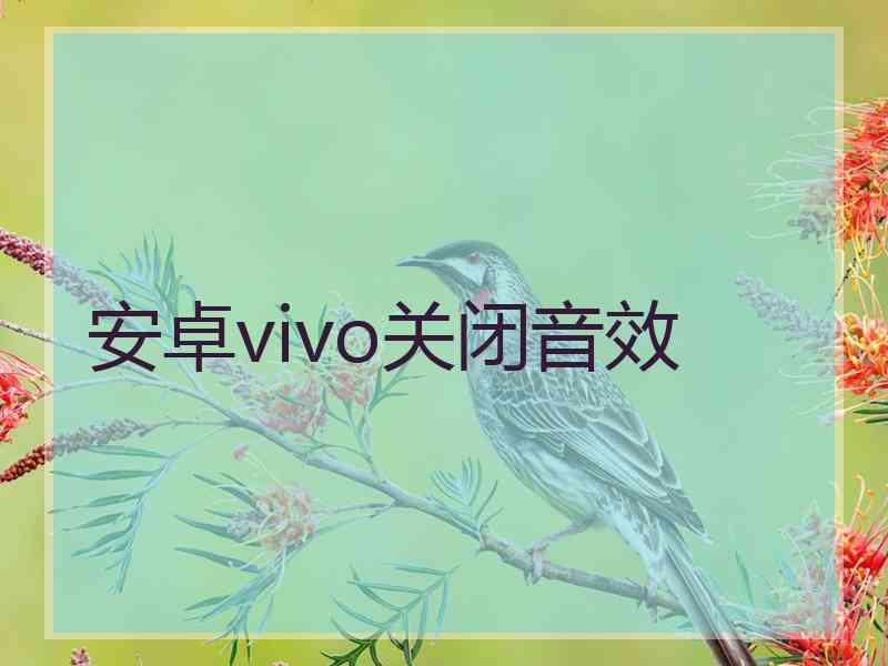 安卓vivo关闭音效