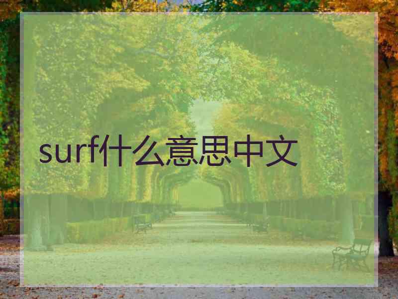 surf什么意思中文