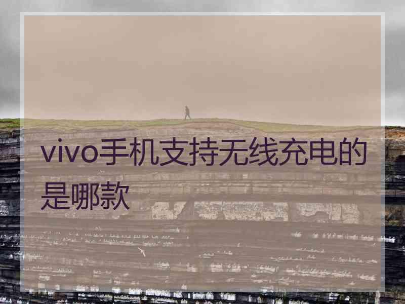 vivo手机支持无线充电的是哪款