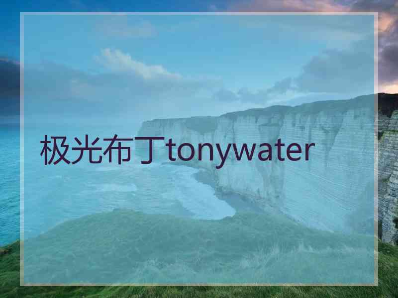 极光布丁tonywater