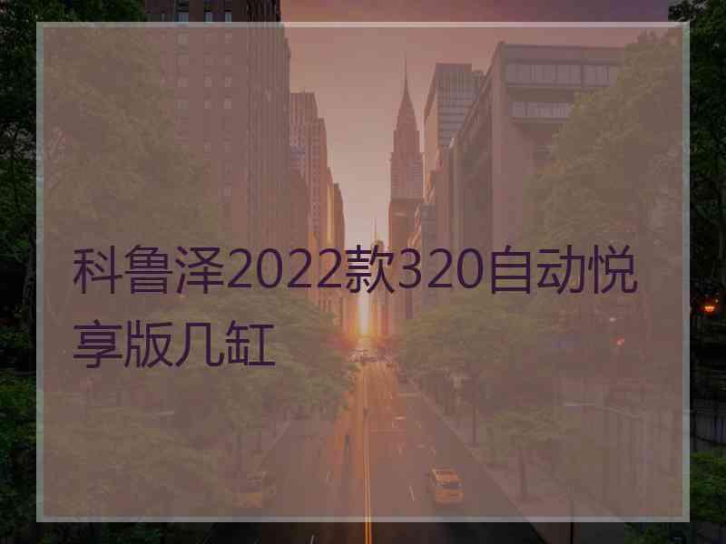 科鲁泽2022款320自动悦享版几缸