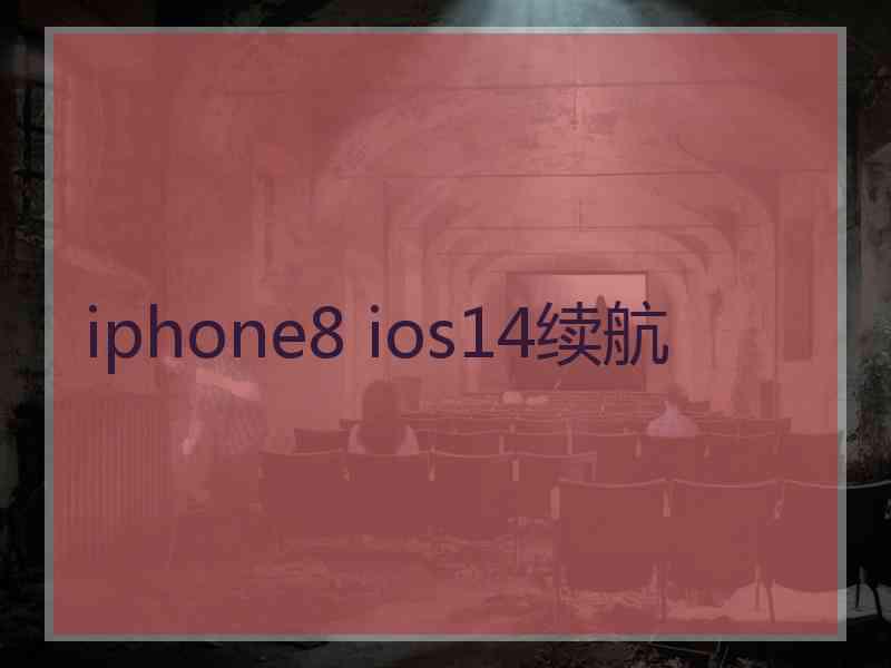 iphone8 ios14续航