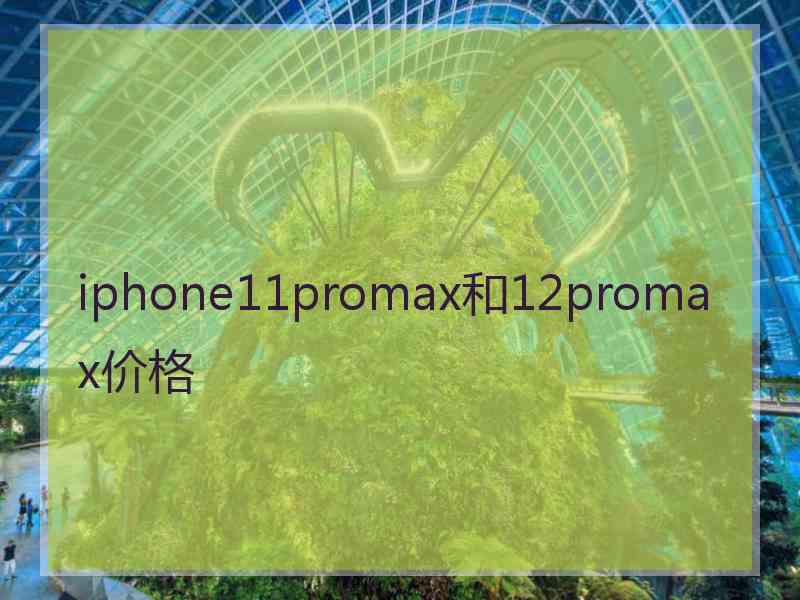 iphone11promax和12promax价格