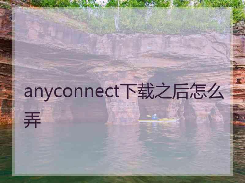 anyconnect下载之后怎么弄