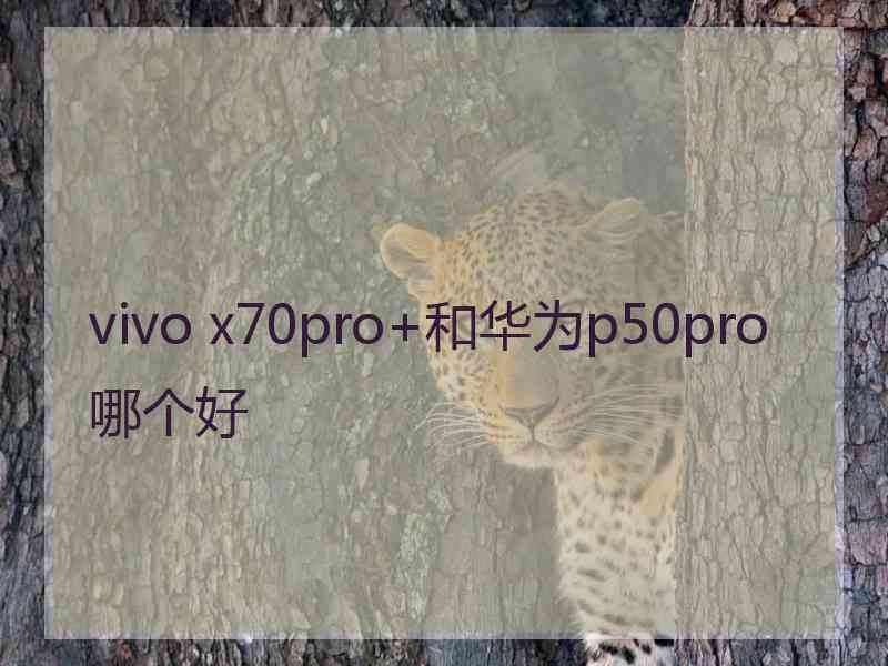 vivo x70pro+和华为p50pro哪个好