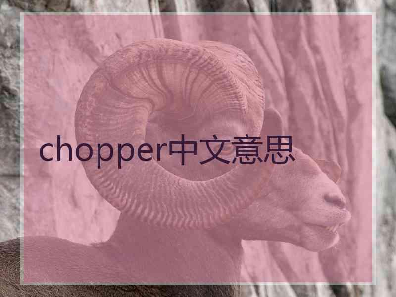 chopper中文意思