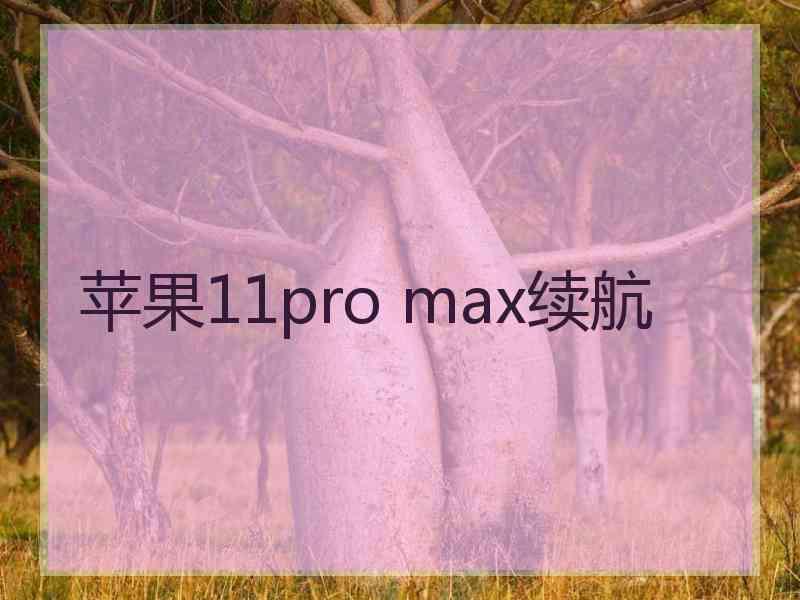 苹果11pro max续航