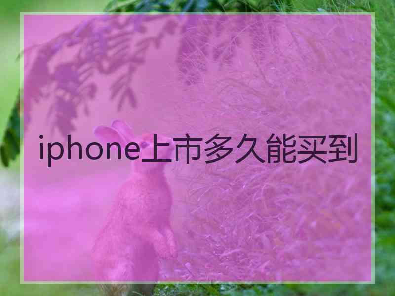 iphone上市多久能买到