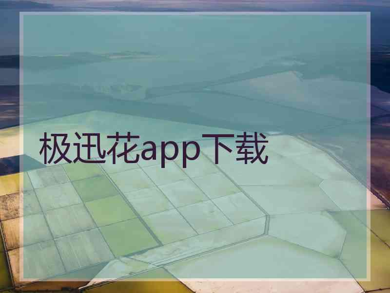 极迅花app下载