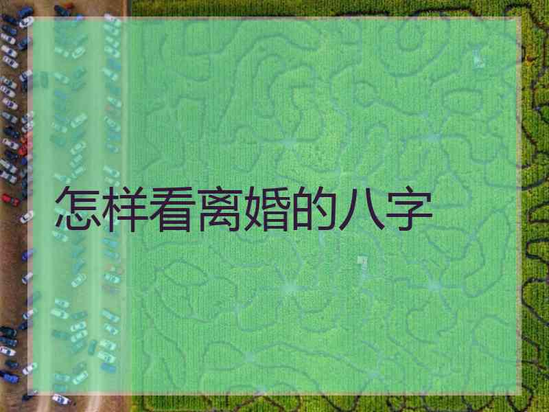 怎样看离婚的八字